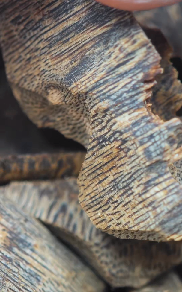 Home - Agarwood.AI | Premium Kynam Agarwood – Eastern Incense Art ...