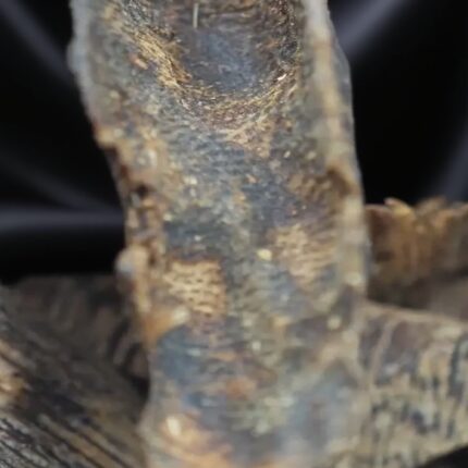 Kynam Sinking Particle