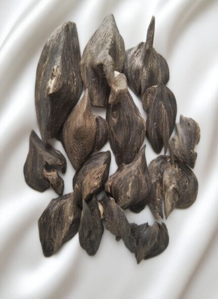 Tiger Patterned Kynam Agarwood（Limited Edition)