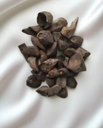 Kynam Agarwood Twig Chip